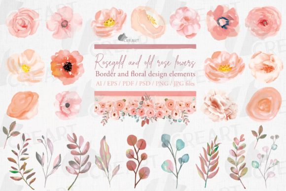 Download Watercolor Old Rose Floral Decor Element - Deco Collection