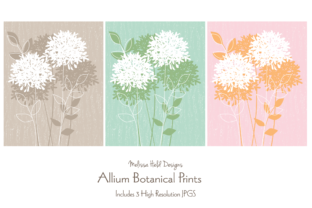 Download Allium Botanical Prints - Botanical prints Collection