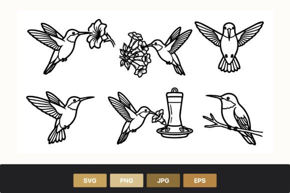 Download Hummingbird Line Art Floral Decor - Deco Collection