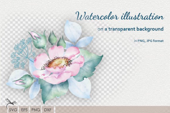 Download Watercolor Floral Illustrations Rosehip - Rose Collection