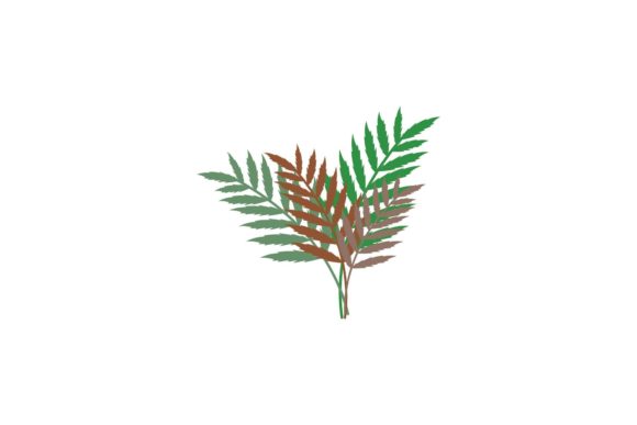 Download Beauty Floral Decorations - Deco Collection